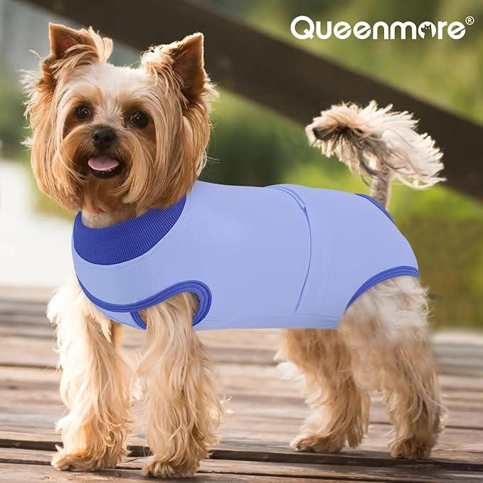 Queenmore Recovery Suit for Dogs Cone Alternative After Surgery Breathable Cotton Dog Onesie, Dog Surgery Suit Female Spay, Prevent Licking Pet Surgery Recovery Suit, Sky Blue,S