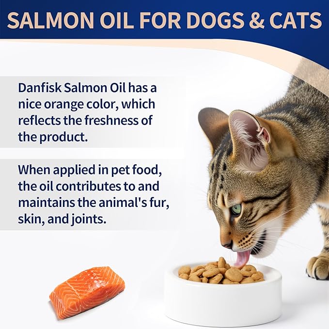 DANFISK Salmon Oil Formula with Omega 3, Fish Oil for Dogs Supplement, Skin & Coat Dog Oil, Itchy Relief, Immune Support for Joints & Heart, Food Topper, 32 oz