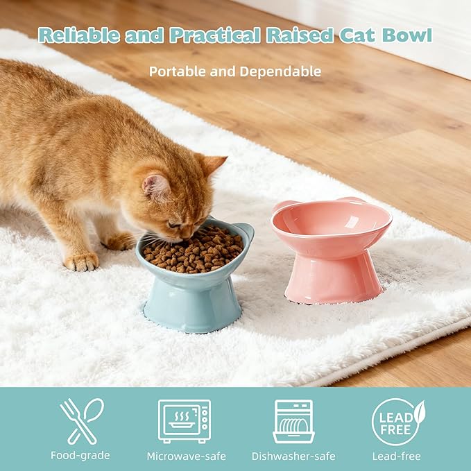 KSIA Klear Elevated Cat Bowls 2 Pack, Tilted Raised Cat Bowls for Indoor Cats, for Food and Water, 4.72" Wide, Whisker Friendly Anti Vomit for Indoor Cats, Microwave and Dishwasher Safe, Pink&Blue