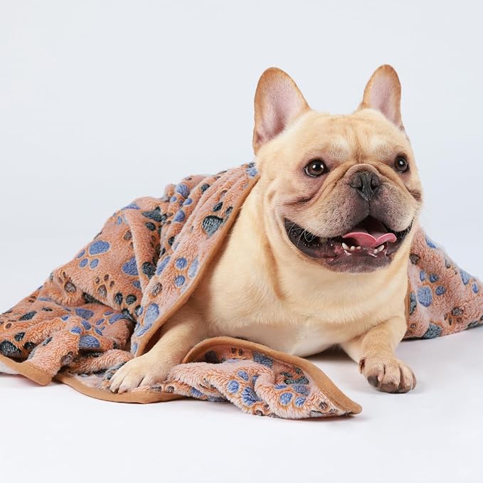 Luciphia 1 Pack 3 Blankets Super Soft Fluffy Premium Fleece Pet Blanket Flannel Throw for Dog Puppy Cat Paw Brown/Pink/White Small(23x16 inch)