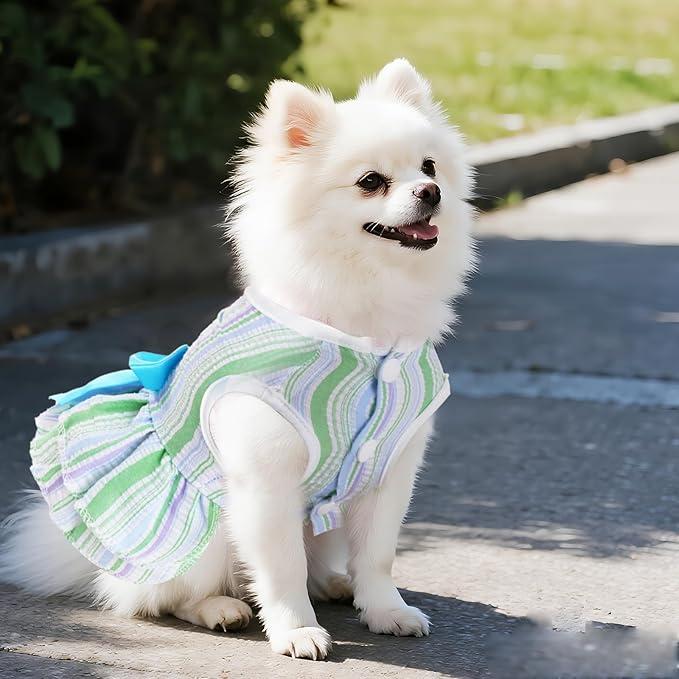 2 Pieces Dog Dresses Puppy Dogs Clothes Bowknot Cat Clothes Outfit Cat Dress for Small Dog Girl Pet Puppy (Pink Green, X-Small)
