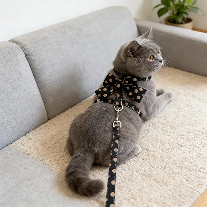 Cat Harness and Leash Set, Sweet Bow Kitten Collar, Escape Proof Extra Small Boy Dog Harness, Cute Polka Dot Print Puppy Collar, Dog Leash for Small Dogs Kittens Outdoor Walking (Black, S)