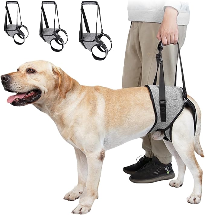 Dog Rear Leg Mobility Aid Lifting Harness Machine Washable Polyester Comfortable Body for Senior Breeds Adjustable Pet Harness