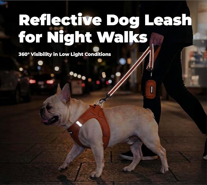 Best Pet Supplies Voyager Reflective Dog Leash or Collar with Neoprene Handle, for Small, Medium, and Large Breed Puppies, Cute and Heavy Duty for Walking, Running and Training - Orange (Leash), M