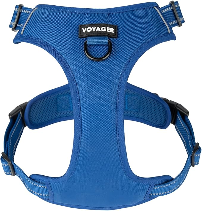 Voyager Dog Harness Dual Leash Attachment No-Pull Control Adjustable Soft but Strong Pet Harness for Medium and Large Dogs with 3M Reflective Technology, Royal Blue Lattice Nylon, XS (Chest: 13-16")