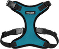Voyager Step-in Pet Harness - All Weather Mesh, Adjustable Step in Harness for Cats and Dogs by Best Pet Supplies - Turquoise/Black Trim, S