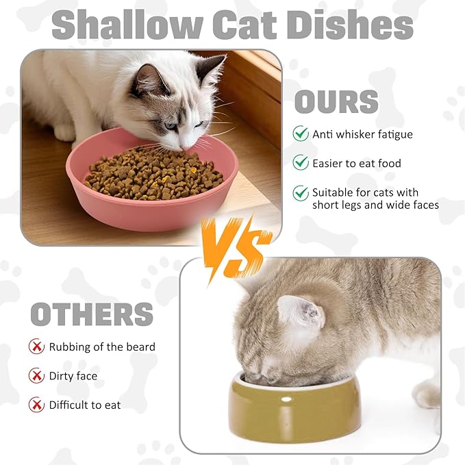 BNOSDM Silicone Cat Food Plate 2 Pack Shallow Dog Bowl Flat Puppy Feeding Dish for Small Dogs and Cats Whisker Fatigue Pet Plates for Dry and Wet Food (Rose Red)