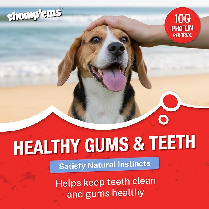 CHOMP 'EMS Five Flavor Kabobs Dog Treats - Beefhide Chewstick - High Protein Dog Chews, 15 Count