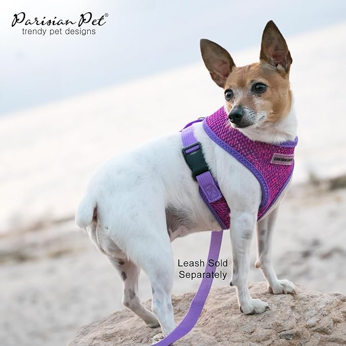 Parisian Pet Girl Dog Harness - Breathable Mesh Purple Pink No Pull Puppy Harness with Leash Ring - Adjustable Harnesses for Dogs - Soft Step-in Pet Vest - Lightweight Dog Vests for Small Sized Dogs