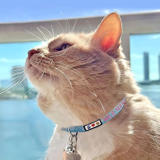 Pawtitas Personalized Black Reflective Cat Collar – Adjustable Custom Collar with Safety Buckle, Removable Bell, and Engraved Name & Phone Number for Kittens and Adult Cats