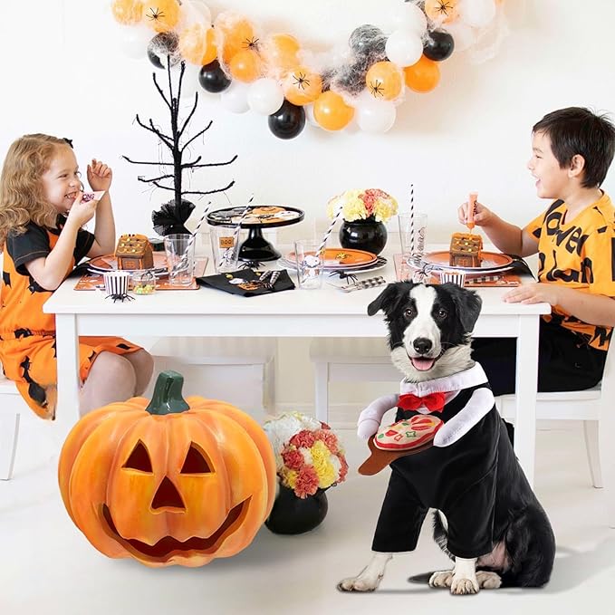NACOCO Dog Halloween Waiter Costume - Pet Pizza Outfit Cute Funny Cosplay Clothes Apparel with Pizza Party Holiday for Small Medium and Large Dogs Cats(Black, XS)