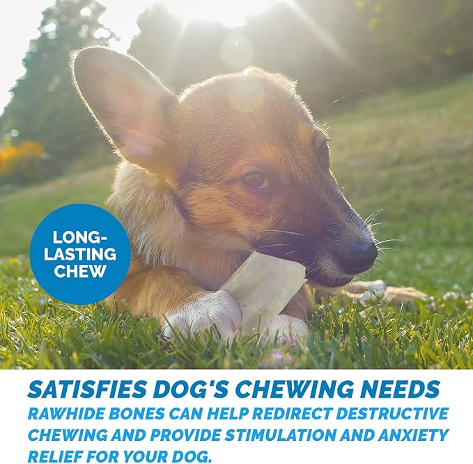 123 Treats Rawhide Chews Dog Chips, Premium Beef Hide (1 Pound) Natural Grass Fed Livestock with No Hormones, Additives or Chemicals, Long Lasting Dental Chews