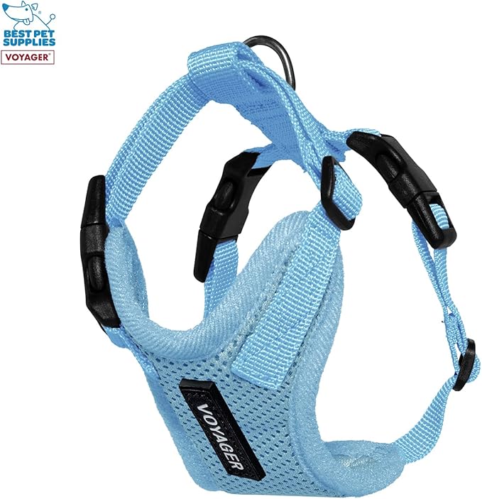 Best Pet Supplies Voyager Step-in Lock Pet Harness w Reflective Pet Leash Combo Set with Neoprene Handle 5ft - Supports Small, Medium and Large Breed Puppies/Cats - Baby Blue Set, XXXS