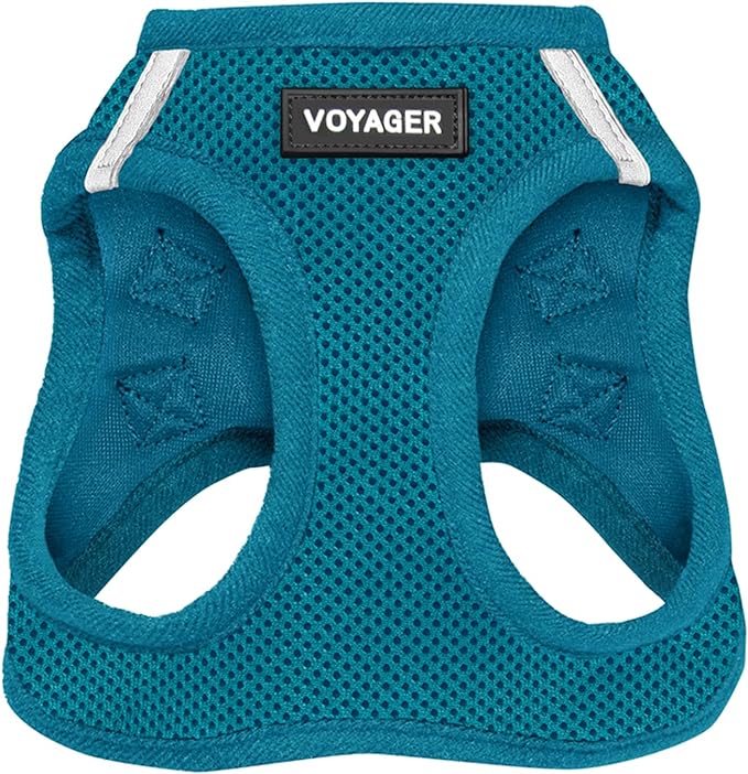 Best Pet Supplies Voyager Step-in Air Harness - All Weather Mesh, Reflective, No Pull Harness for Dogs, Cats - Secure with Hook & Loop Fastener, Buckle, Double D-Rings - Turquoise, XS