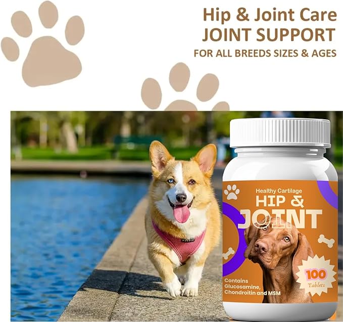 Chewable Dog Hip & Joint Supplement - Glucosamine & Chondroitin Chews, with Chondroitin, MSM, Vitamins C and E for Dog - 1 Bottle 100 Chewable Tablets