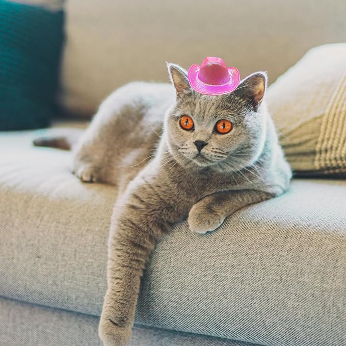Dog and Cat Cowboy Hat With Bandana Scarf - Mini Pet Costume for Holiday, Halloween, Party Decoration (Pink-style2, Small)
