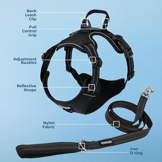 Voyager Dog Harness Dual Leash Attachment No-Pull Control Adjustable Soft but Strong Pet Harness for Medium and Large Dogs with 3M Reflective Technology, Leash Set Black Nylon, S (Chest: 16-20")