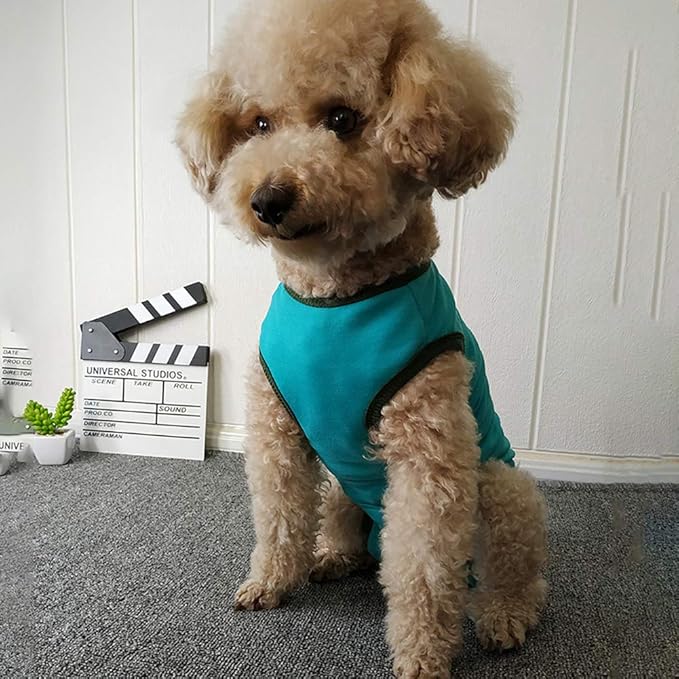 Dog’s Recovery Suit Post Surgery Shirt for Puppy, Wound Protective Clothes for Little Animals(Blue-xs)