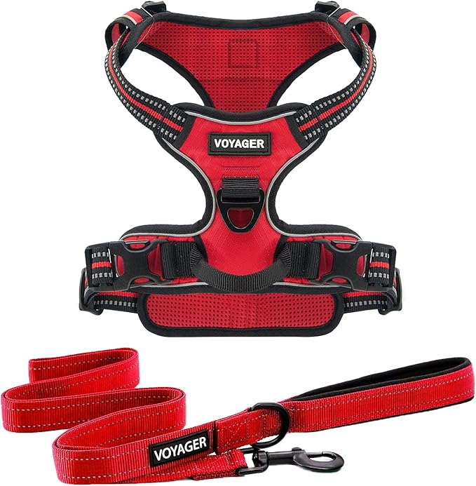 Voyager Dog Harness Dual Leash Attachment No-Pull Control Adjustable Soft but Strong Pet Harness for Medium and Large Dogs with 3M Reflective Technology, Leash Set Red Nylon, XL (Chest: 28-37")