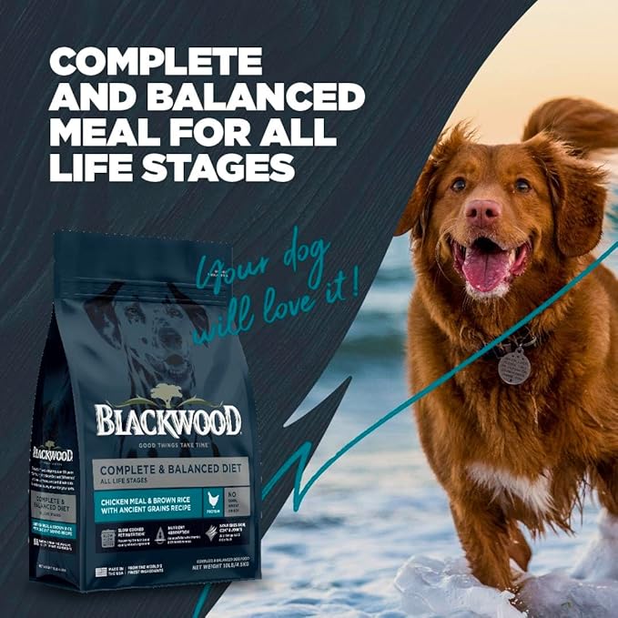 Blackwood Complete & Balanced Diet Dry Dog Food, Chicken Meal & Brown Rice with Ancient Grains, 10 Pound Bag, Slow Cooked with Vitamins & Minerals