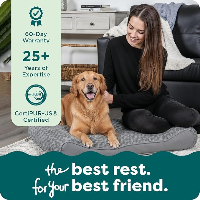FurHaven Orthopedic Dog Bed for Large Dogs, Luxe Lounger Contour Mattress with Solid Orthopedic Foam Slab for Joint Support, Removable Washable Cover, Jumbo XL, Plush Suede, Gray