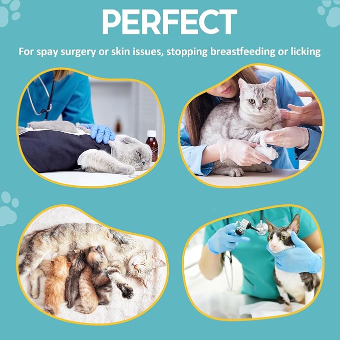 Avont Cat Recovery Suit - Post-Surgery Onesie for Cats, Alternative to Cone of Shame, Protective Spay Suit for Female Kitten, Ideal for Healing and Skin Conditions -Mintgreen(S)