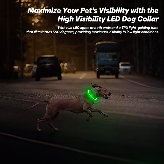 BSEEN Light Up Dog Collar - LED Dog Collar Rechargeable, Glowing Pet Collars for Small Medium Large Dogs, TPU Cuttable Lighted Puppy Collar, Safety Dog Lights for Night Walking (Green 70cm)