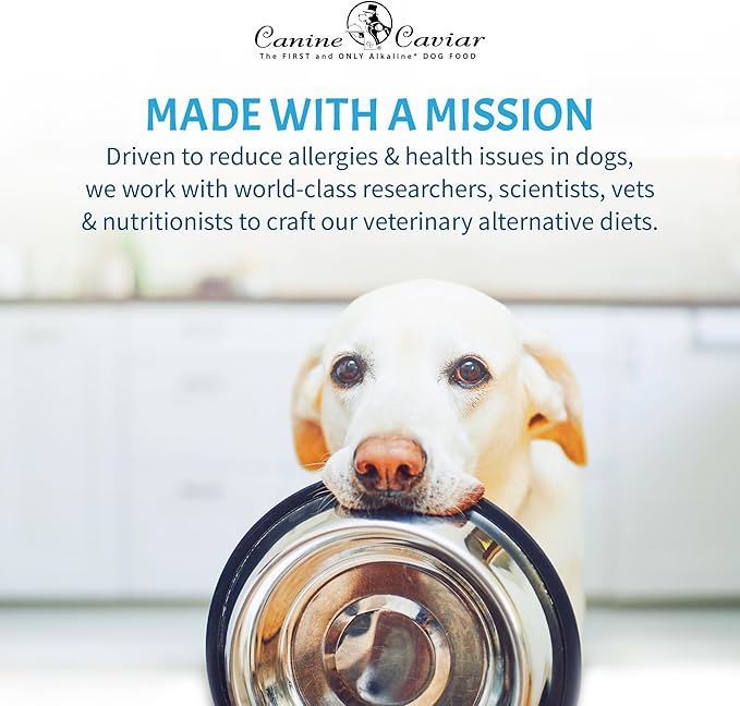 Canine Caviar - Wild Ocean: Herring & Teff Alkaline Dry Dog Food, Limited Ingredients, Gluten-Free, Based on Science & Research, Veterinary Alternative Diet (11 Pound Bag)