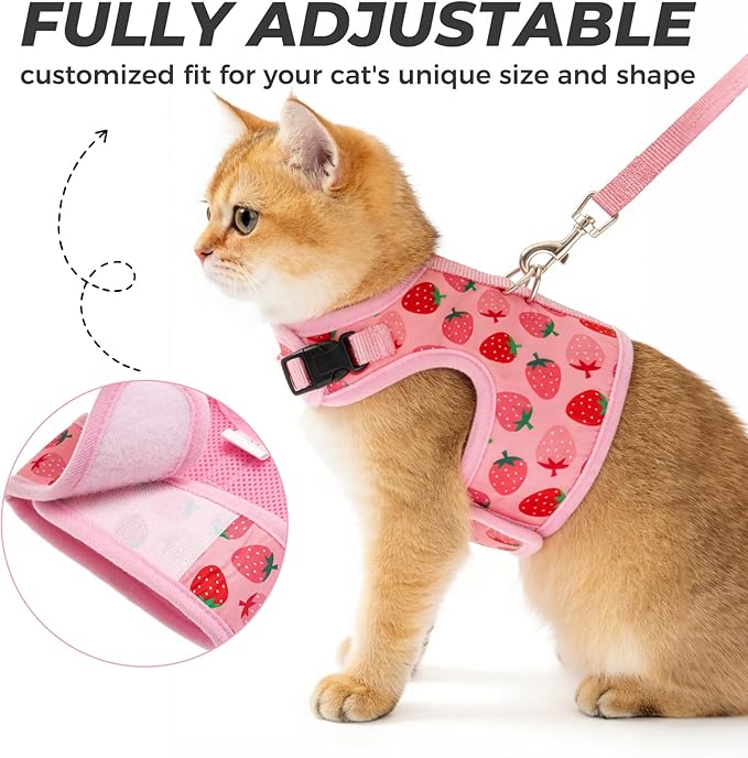 BINGPET Cat Harness and Leash Set Escape Proof, Fashionable Adjustable Mesh Harness for Walking, Soft Cute Breathable Easy Control Cat Vest for Kitten Puppy Small Medium Large Cats