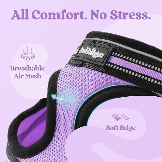rabbitgoo Cat Harness and Leash Set for Walking Escape Proof, Adjustable Soft Kittens Vest with Reflective Strip for Cats, Comfortable Outdoor Vest, Light Purple, L