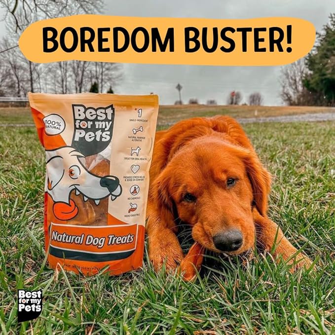 Best For My Pets 6‑Inch Odor‑Free Beef Bully Sticks, 8 oz Bag - Single‑Ingredient, Long‑Lasting Natural Dental Dog Chews, USA‑Inspected Rawhide Alternative