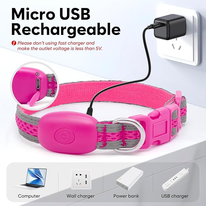 Flashseen LED Dog Collar, Light Up Dog Collar USB Rechargeable, Brightest Dog Lights for Night Walking, Adjustable Dog Collar Light for Dog Safety (Pink, X-Small)