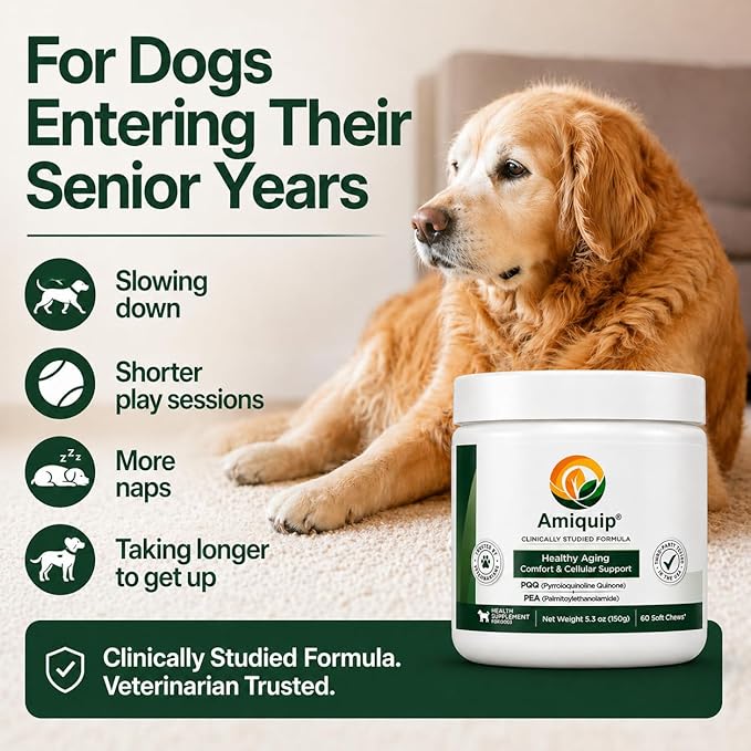 Amiquip® Dog Supplement for Senior Dogs – Longevity, Comfort & Joint Support, Clinically Studied Formula, 90 Soft Chews for Daily Healthy Aging with PQQ & Palmitoylethanolamide