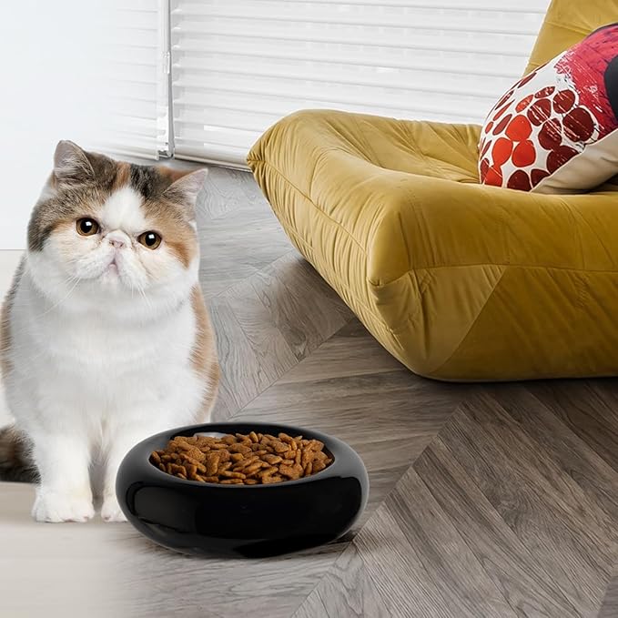 6.1 Inch Cat Bowls, 7 oz Ceramic Cat Food Bowl, Whisker Fatigue Relief Cat Bowl, Anti-Vomiting, Protect Spine, Perfect for Indoor Cats(Black)