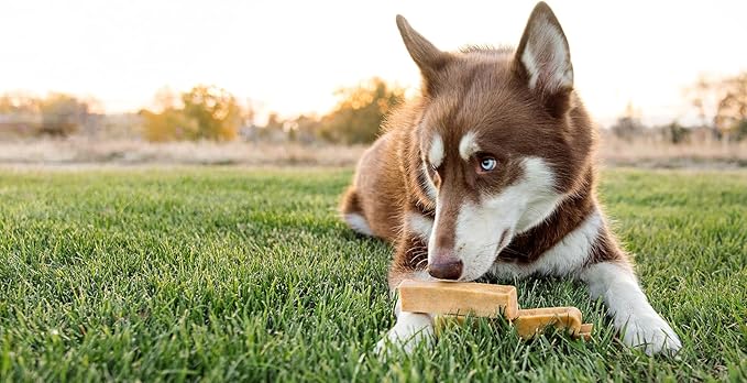 peaksNpaws Yak Cheese, High Protein, Himalayan Dogs Chews, Natural Dog Treats, Lactose Free, Long Lasting Dogs Treat for Aggressive Chewers Under 55 lbs 20 Large Chew Sticks, 5 lb Bag