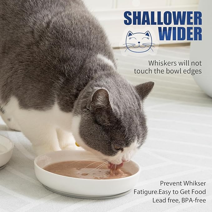 Lusifaco Shallow Cat Food Bowls - 5.9 Inch Wide Ceramic Anti Whisker Fatigue Cat Dishes Set With Non-Slip Silicone Mat - Kitten Plates for Food and Water - 3 Pack (Blue)
