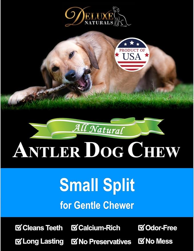 1-Pack Small Split Elk Antler Dog Chew (5 to 6.5+ in) – All Natural, Premium Grade A, Odor-Free, USA-Sourced – Long-Lasting Dental Treats for Toy and Small Dogs Under 15 lbs