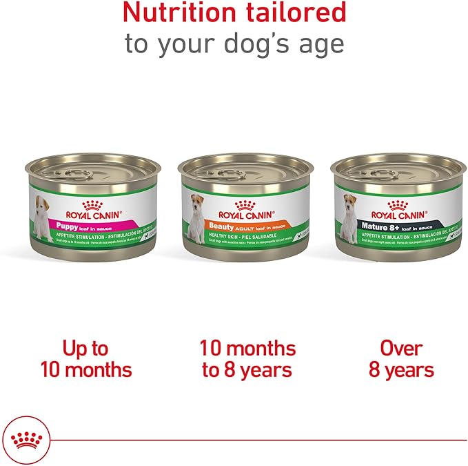 Royal Canin Canine Health Nutrition Puppy Loaf in Sauce Dog Food, 5.2 oz (Pack of 12)