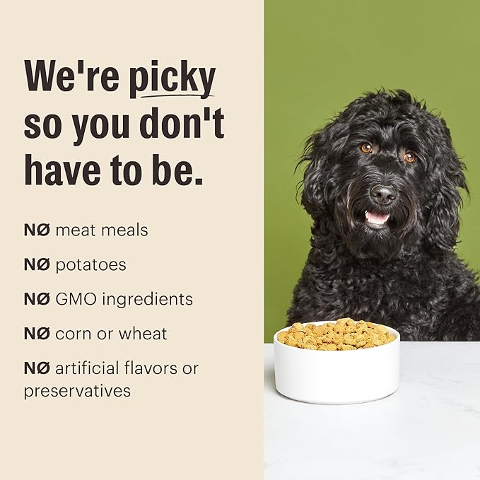 The Honest Kitchen Human Grade Essential Clusters Dry Dog Food, Whole Grain Chicken 20 lb Bag