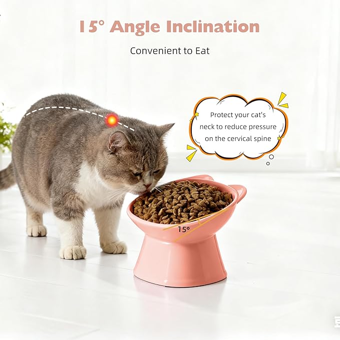 KSIA Klear Elevated Cat Bowls 2 Pack, Tilted Raised Cat Bowls for Indoor Cats, for Food and Water, 4.72" Wide, Whisker Friendly Anti Vomit for Indoor Cats, Microwave and Dishwasher Safe, Pink&Green