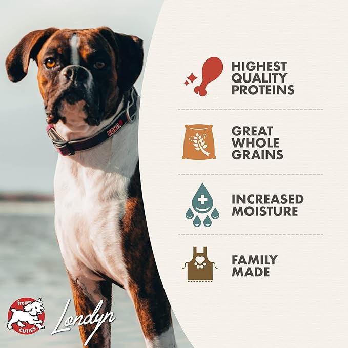 Fromm Turkey, Duck & Sweet Potato Pate Dog Food - Premium Wet Dog Food - Turkey Recipe - Case of 12 Cans