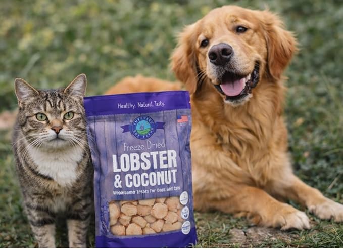 Shepherd Boy Farms Freeze Dried Dog and Cat Treats, Lobster & Coconut, All Natural Freeze-Dried Dog Treat & Snacks, Made in USA, Two Ingredients, High in Protein, 5oz