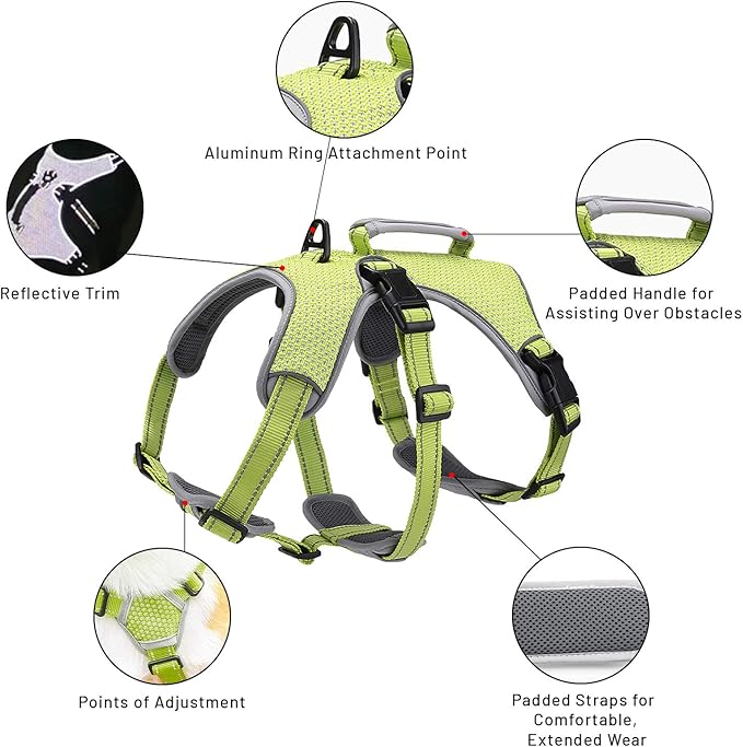 BELPRO Multi-Use Support Dog Harness, Escape Proof No Pull Reflective Adjustable Vest with Durable Handle, Dog Walking Harness for Big/Active Dogs (Green, L)