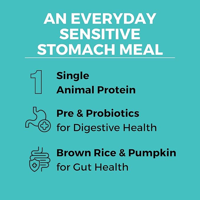 KOHA Limited Ingredient Bland Diet Dry Food for Dogs - Chicken & Brown Rice Recipe, Sensitive Stomach Dog Food - Pumpkin for Digestive Support, 3.5 lbs