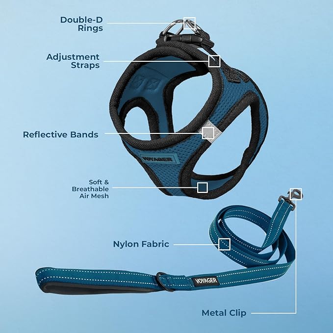 Best Pet Supplies Voyager Step-in Air All Weather Mesh Harness and Reflective Dog 5ft Leash Combo with Neoprene Handle, for Small, Medium and Large Breed Puppies - Set (Blue/Black Trim), Large