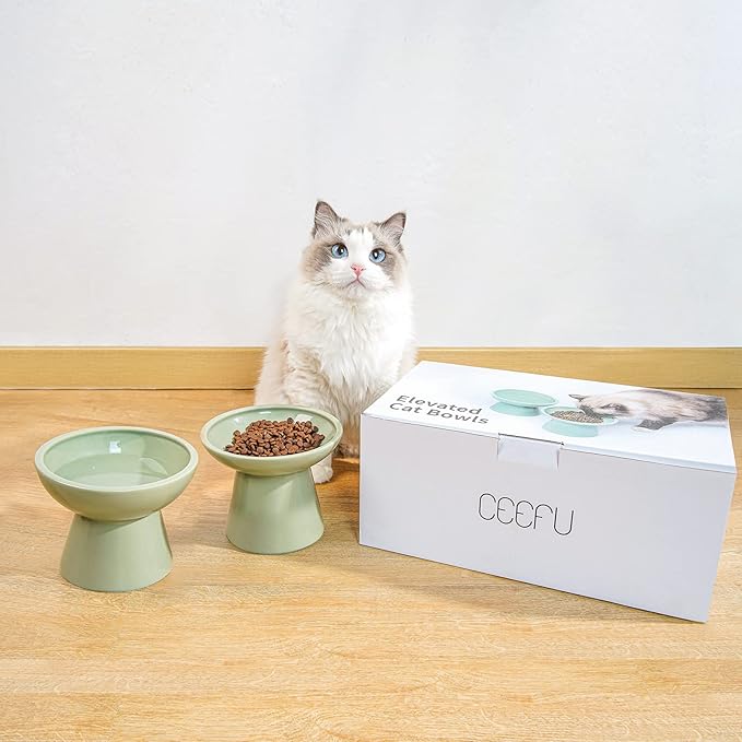 CEEFU Extra Wide Elevated Ceramic Cat Water Bowl - 6.2" Deeper Dish for Whisker Fatigue Relief, 5" Height for Easy Feeding, Lead & Cadmium Free, Durable Raised Cat Bowls, Green