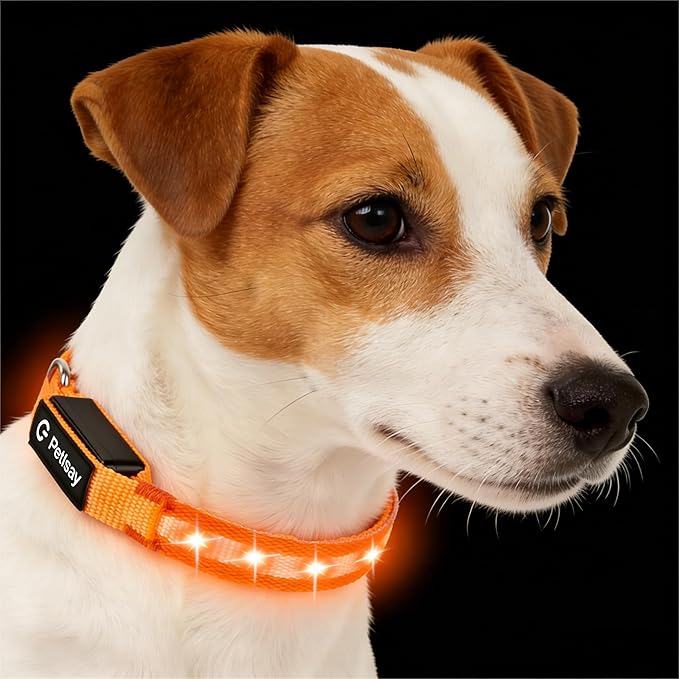 LED Dog Collar for Small Dogs Cats - Fully Waterproof & Adjustable Glow Collar - USB-C Rechargeable for Night Walking, Safety - Flashing Lighted Collar for Dogs(Orange,XS)
