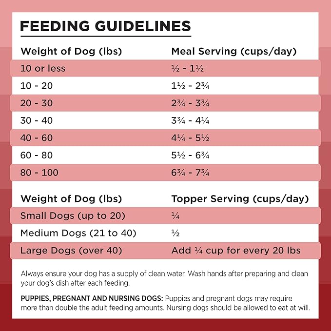 BIXBI Liberty Freeze-Dried Dog Food Topper & Treats, Beef – 98% Meat & Organs, No Refrigeration – USA Made, 12 oz
