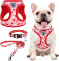 SCENEREAL Valentines Dog Harness Collar and Leash Set, Step in No Pull Soft Mesh Pet Harnesses for Small Medium Dogs Puppy Cats, No Chock Reflective Vest Harness