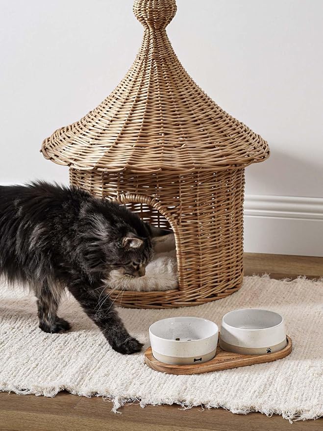 LE TAUCI PET Ceramic Dog and Cat Bowls Set with Acacia Wood Tray - 2 Cup Weighted Non-Slip Food and Water Dishes for Small Dogs & Cats, Pet Bowl Set of 2